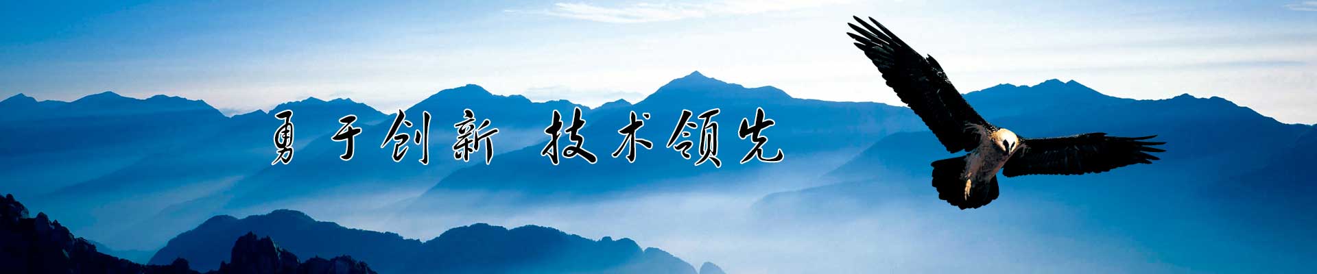 成功案例